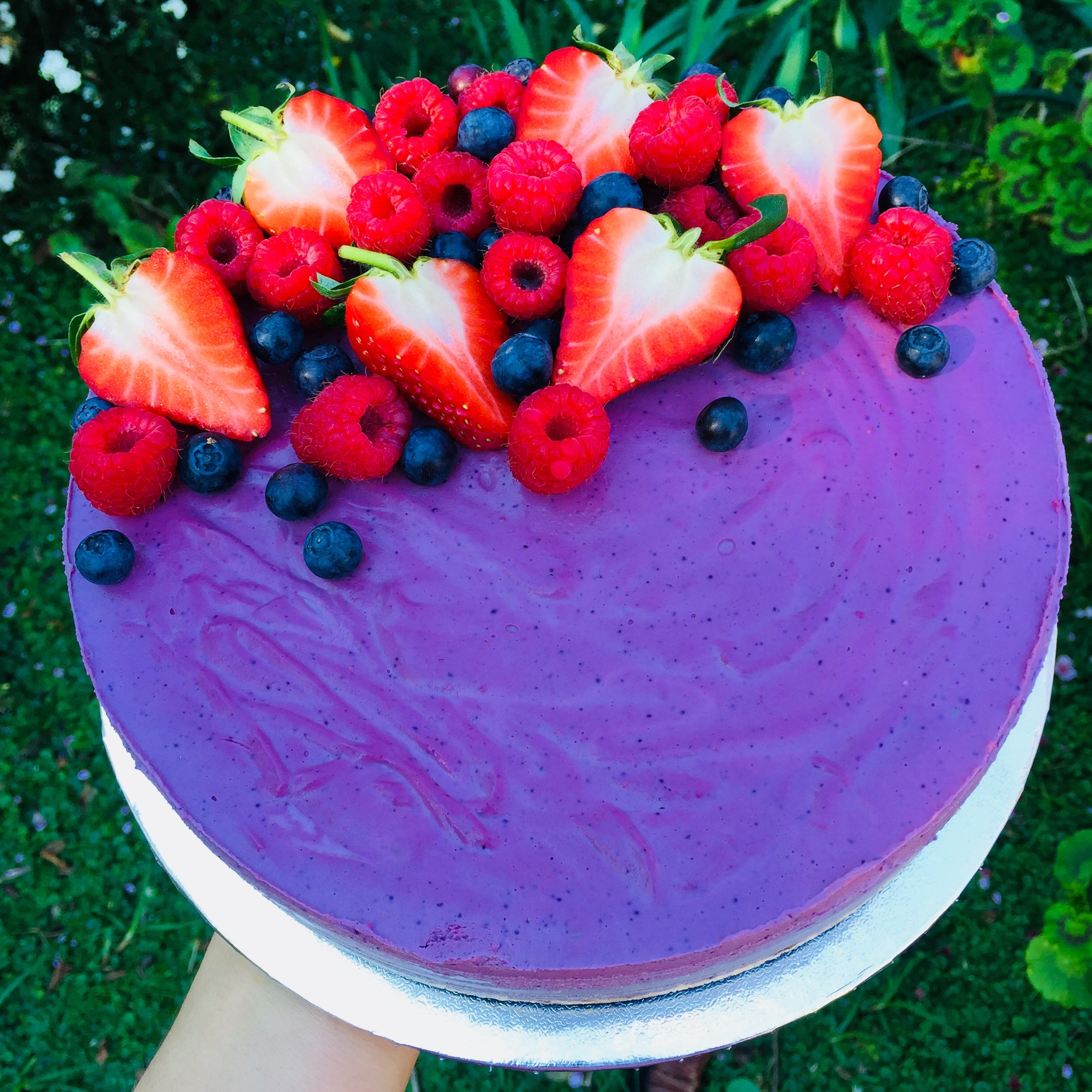 Raw Wild Blueberry Cheesecake